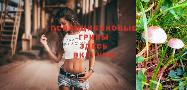 jwh Протвино