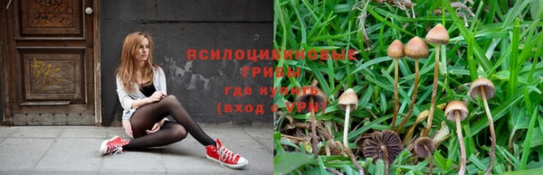 меф Приозерск