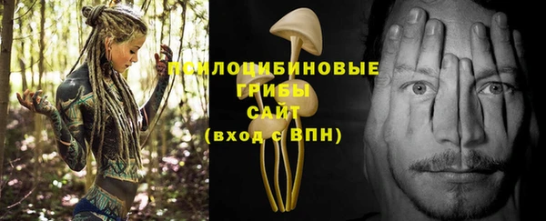 меф Приозерск